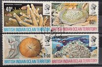 [Corals, type AD]