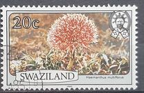 [Flowers, type IK]