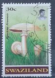 [Mushrooms, 类型 SM]