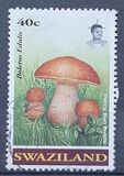 [Mushrooms, 类型 SN]