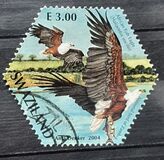 [Birds - SAPOA Joint Issue, tyyppi WJ]
