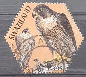 [Birds - SAPOA Joint Issue, tyyppi WK]