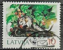 [The Fat Dormouse, type EX]