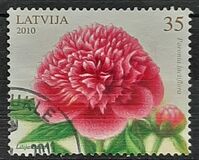 [Flowers - Peony, Tüüp UD]