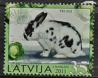 [Year of the Rabbit, प्रकार UV]
