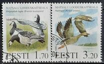 [Birds - Matsala Nature Reserve, Scrivi DP]