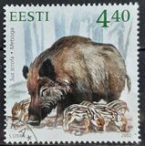 [Estonian Wildlife, type KJ]