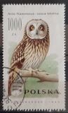 [Owls, type DEB]