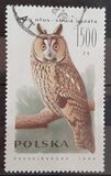 [Owls, type DEC]