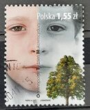 [National Day of Cystic Fibrosis, тып GFY]