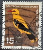 [Youth Hostel - Birds, tip HU]