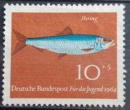 [Für die Jugend, Typ ID]