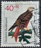 [Youth Hostel - Birds, වර්ගය UC]