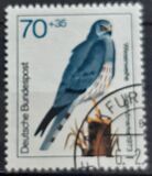 [Youth Hostel - Birds, වර්ගය UD]