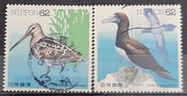 [Water Birds - Latham's Snip & Brown Booby, type CHE]