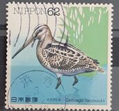 [Water Birds - Latham's Snip & Brown Booby, type CHE]