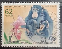 [The 8th Conference of Parties to Convention on International Trade in Endangered Species, Kyoto City, type CIT]