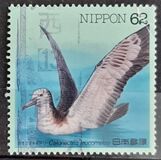 [Water Birds - White-faced shearwater & Ruddy kingfisher, Typ CJS]