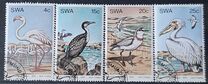 [Water Birds, Tipo GQ]