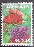 [Sea Anemone, type ND]