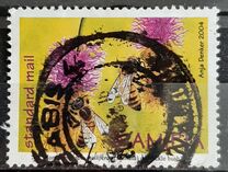 [Abejas y flores., tipo QP]
