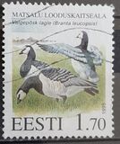 [Birds - Matsala Nature Reserve, Scrivi DP]