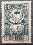 [Afforestation Campaign, type AGI]
