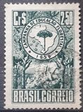 [Afforestation Campaign, type AGI]