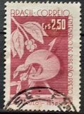 [The 100th Anniversary of the City of Ribeirao Preto, type AHF]