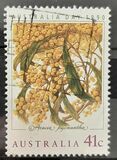 [Australia Day, 类型 AMZ]