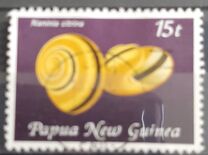 [Land Snail Shells, نوع ON]