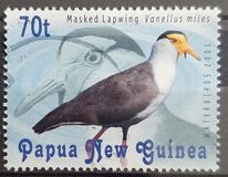 [Water Birds, type AEY]