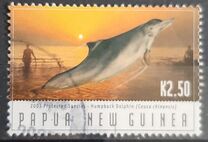 [Protected Species - Dolphins, type AJJ]
