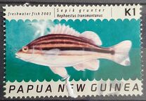 [Freshwater Fish, type AJT]