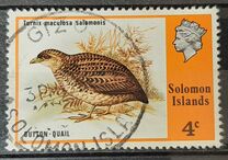 [Flora and Fauna, type FL2]