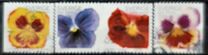 [Flowers - Self Adhesive, type CGN]