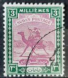 [Camel Postman - New Arabic Inscription, tegund Q2]
