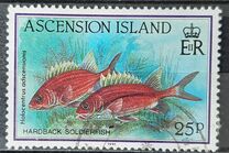 [Fish, type RV]