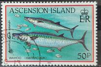 [Fish, type RX]