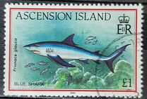 [Fish, type RZ]