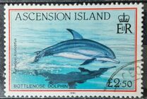 [Fish, type SA]