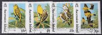 [Yellow Canary, type SW]