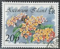 [Local Flowers, typ TM]