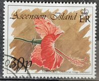 [Local Flowers, typ TO]