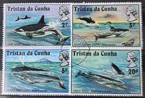 [Whales and Dolphins, type FF]