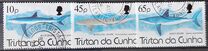 [Sharks, type TE]