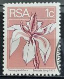 [Flora and Fauna - Coil Stamps, type NG1]