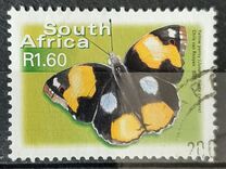 [Butterflies, type AVB]