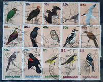 [Birds, タイプ VF]