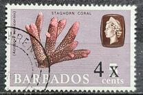 [No. 240 Surcharged, type FU]
